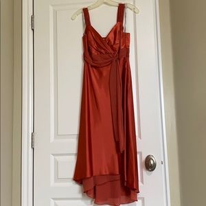 David’s Bridal Bridemaid Dress